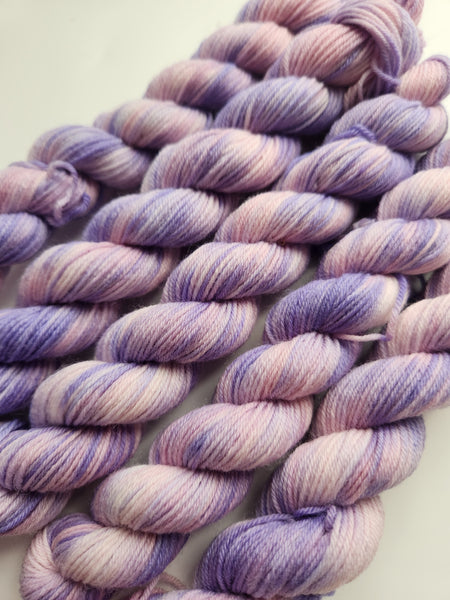 Second Chances Mini 100